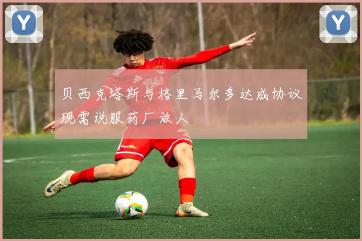贝西克塔斯与格里马尔多达成协议现需说服药厂放人
